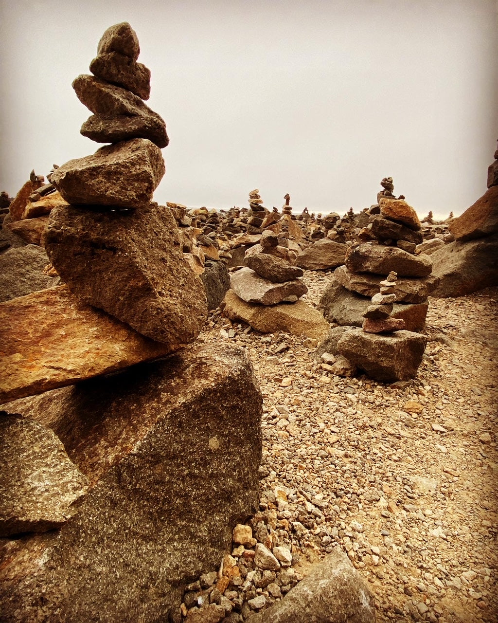 Morro Rock Adventures 🪨
