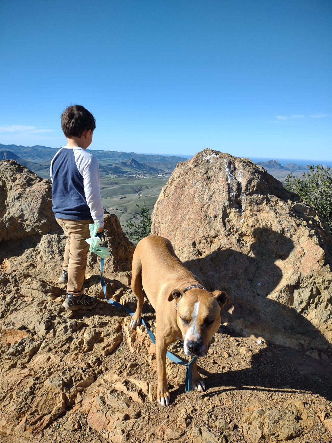 Rockhounding West Cuesta Ridge 🪨🐾