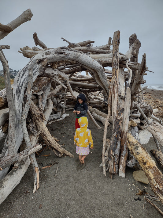 Moonstone Beach in Cambria π