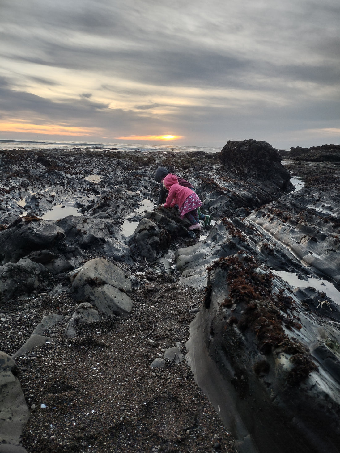Tidepooling near Spyglass Park in Pismo Beach 🦀