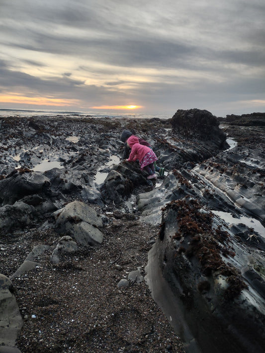Tidepooling near Spyglass Park in Pismo Beach 🦀