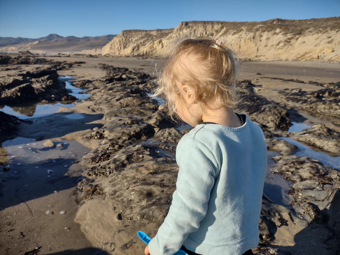 Joy Discovers Jalama Beach in Santa Barbara County 🏖️