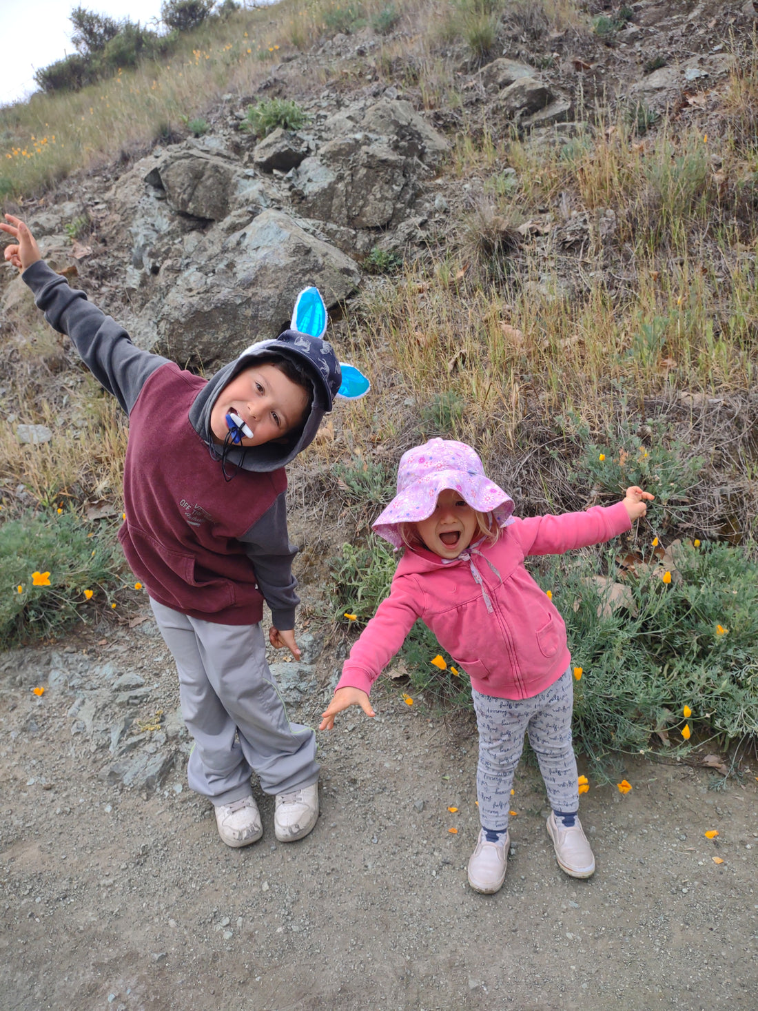 The Wildflowers are Blooming on Johnson Ranch Trail! 🌸🏵️