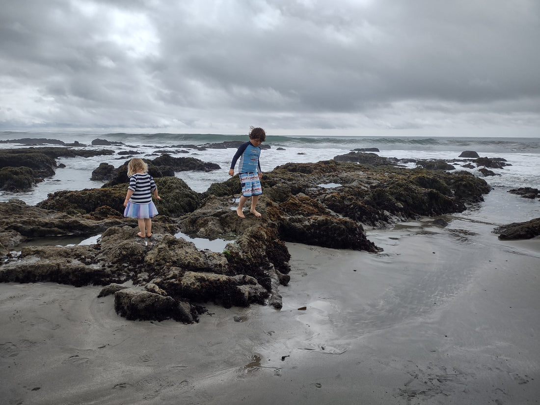 Arroyo Laguna Beach near San Simeon on California's central coast in San Luis Obispo county