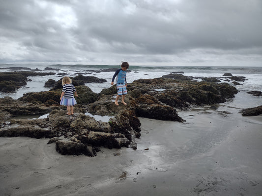 Arroyo Laguna Beach near San Simeon on California's central coast in San Luis Obispo county