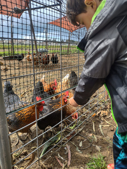 Halcyon Farms in Arroyo Grande California's central coast in San Luis Obispo county. Formerly Rutiz Farms.