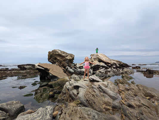 Memorial Day tide pooling at Shell Beach 🏖️ 🇺🇸 (part of Pismo Beach!)