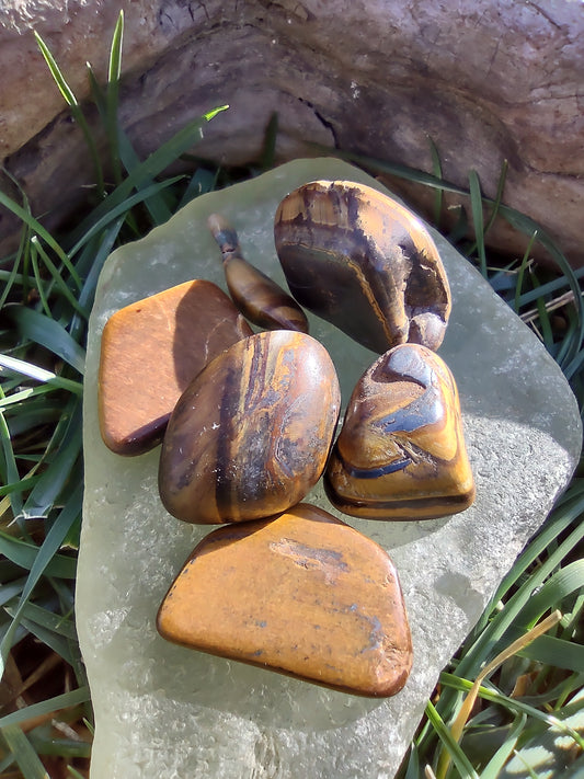 Tiger's Eye (Rocko's Tumbled Stones)