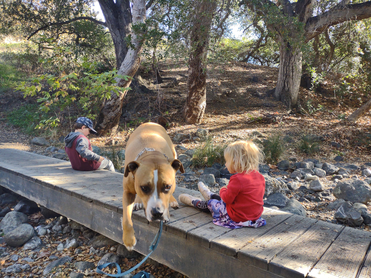 Johnson Ranch Trail 🦗 – Joy Discovers