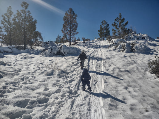 Snow! Nearby! Mt. Pinos! ❄️