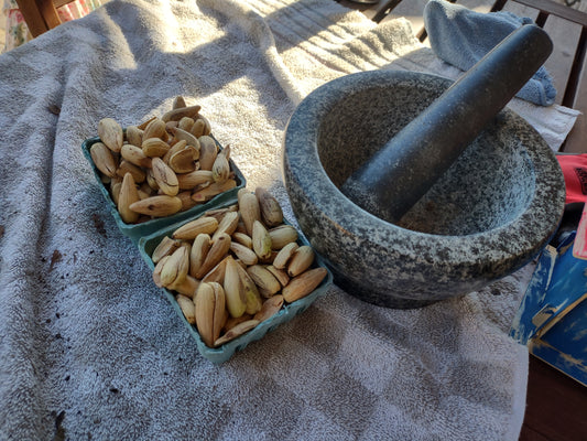 Collecting acorns and baking bread 🌰 FAIL!