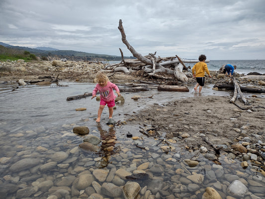 Exploring El Capitán State Beach 🏖️