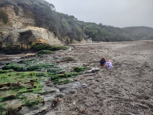 Tide pooling at Spooner's Cove (Montaña de Oro State Park) 🌥️