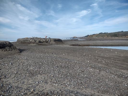 Washburn Day Use Area at San Simeon State Beach