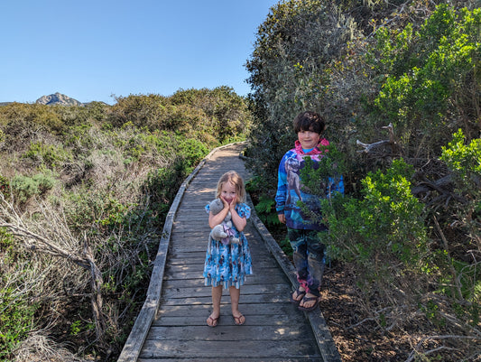 Picnic in the Elfin Forest of Los Osos!