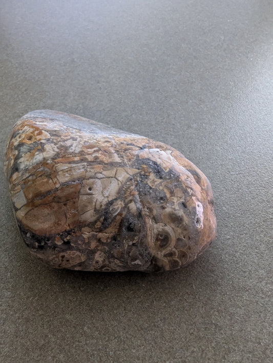 Mushroom Rhyolite from Cayucos, California, San Luis Obispo county