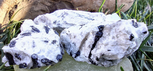 Science Rocks! (Oceanview Mine)