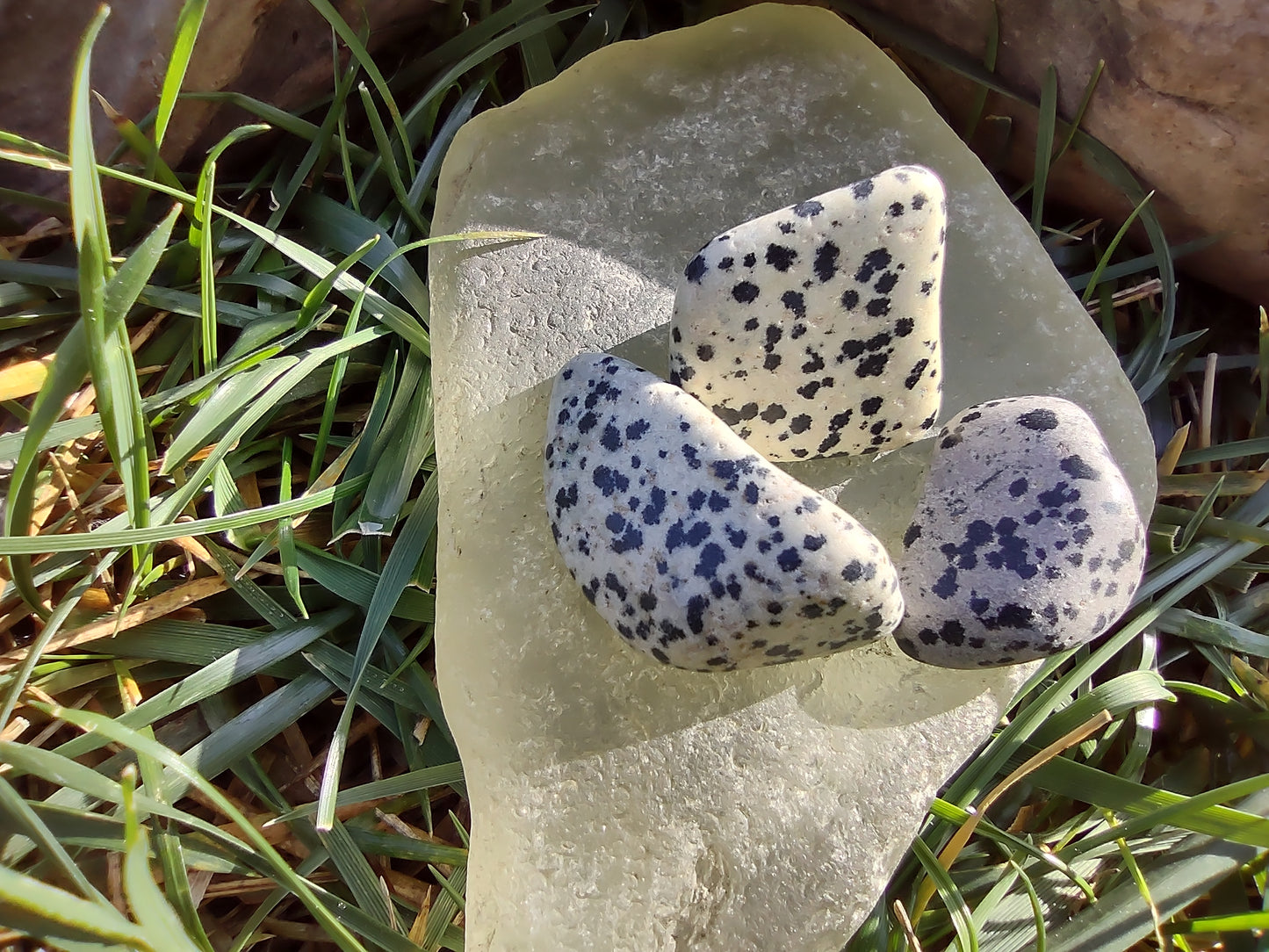 Dalmatian Jasper (Rocko's Tumbled Stones)